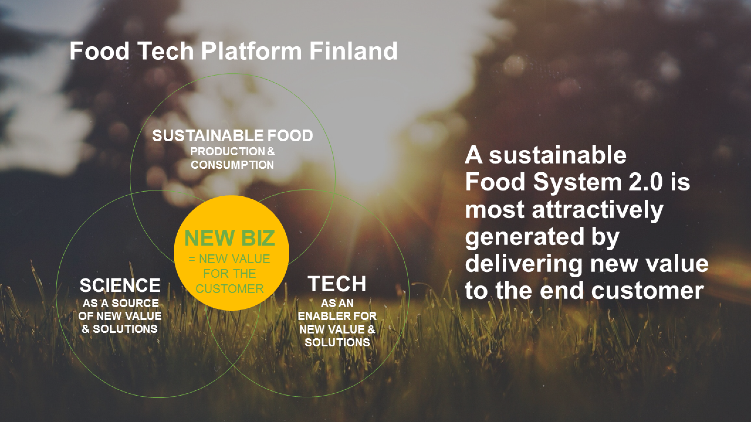 Image: On the background, grass glimmering on the light of sun setting or rising behind some trees. On the front, graphic objects and text. On the left half of the image, under the title Food Tech Platform Finland, three circles with text in them, one on the top and two on the bottom. In the circle on the top, SUSTAINABLE FOOD, production & consumption. In the left cirle of the bottom row, SCIENCE as a source of new value & solutions. In the right cirle of the bottom row, TECH as an enabler for new value & solutions. These three circles are partially on top of each other, forming an union in their middle and there is a fourth circle in the middle of the formation. The middle circle has the text NEW BIZ = new value for the customer. On the right half of the image, A sustainable Food System 2.0 is most attractively generated by delivering new value to the end customer.