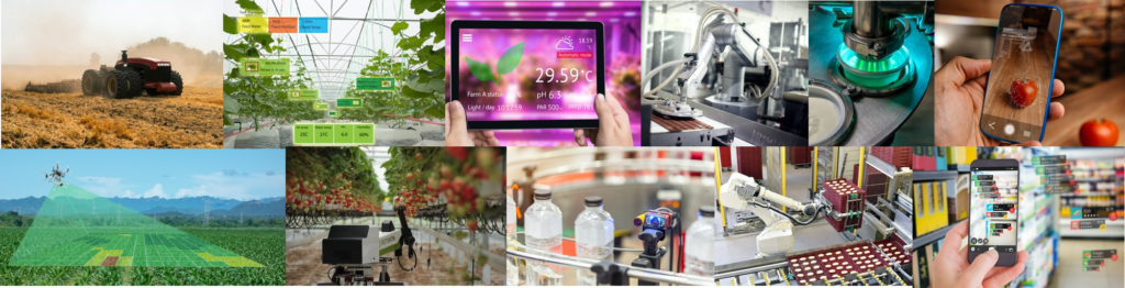 Photonics in agri-food industry